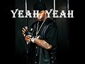 Busta Rhymes Ft. Linkin Park - We Made It with Lyrics