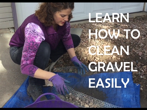 Learn to Clean Gravel Easily