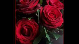 Cheb Amrou 2010 Dikrayate Bini O Binha.wmv