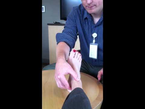 how to assess neurovascular status