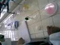 practica de orgánica I CUCEI con yo mero Francisco, Marce y Dany
