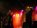 amaiur saniko jaiak 2008 (3)
