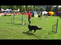 Click here to watch this video Tosia aility Łodz 2011 05 07