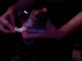 videos de brossage de dents