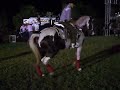 Yegua Pinta propiedad del Ing. Rodrigo Zazueta montada por el Cuatito Gonzalez en una fiesta en Villa Juarez Sonora Mexico