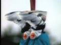 Reebok Pump Banned Bungee Jump Commercial