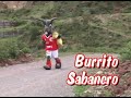 El Burrito Sabanero(cienciano)- berlyf11