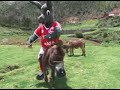 El Burrito Sabanero(cienciano)- berlyf11