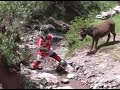 El Burrito Sabanero(cienciano)- berlyf11