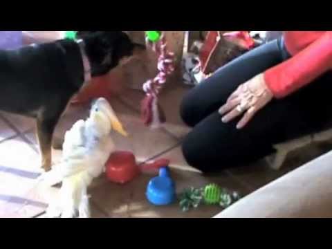 Marnie - Most of Marnie's brothers and sisters opening presents Christmas morning!!