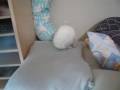 ????????dig dig rabbit2008/1218 ????????dig dig rabbit2008/1218