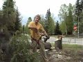 Tree Cutting in Downtown Fairbanks