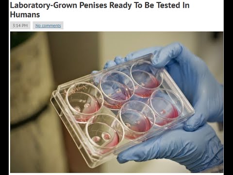 how to grow smooth muscle