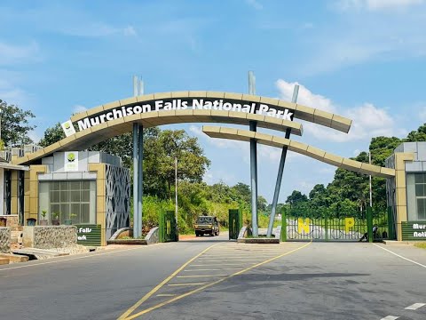 3 Day Murchison Falls Safari with Zziwa Rhino Sancturay