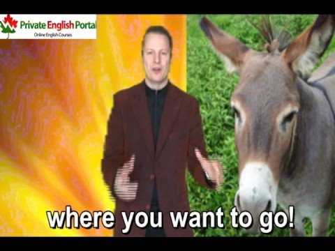 Learn English with Steve Peppy, Ford 21 (President of Idioms)