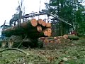Rottne Solid F9 Forwarder unload