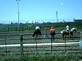 MAPFHA -Performance Champtionship - Part 2