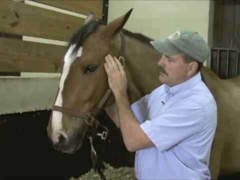 how to relieve tmj tension