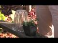 videos de Gardening: Repelling Pests : How to Build a Chase Barn Cloche