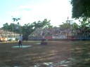 jaf spectacle equestre jaf spectacle equestre