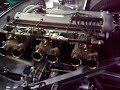 Jaguar D-Type original start up