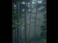 UFO-Screamer-Real-Or