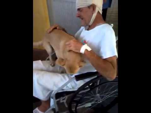 Homeless Guy's Dog Is Waiting Outside Hospital For Him.