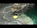 小名浜港は元気です。　ムービー♪