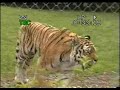 Banham Zoo, Norfolk in England