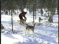 Hundar Hundar