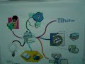 Mapas mentales Mapas mentales
