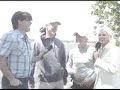 Worthington-Windsurf