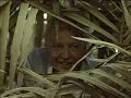 Attenborough in Paradise: Wilson's Bird