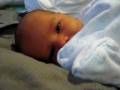 roll over 2 weeks old