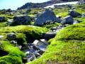 videos de Mount Baker Rill.AVI
