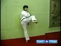 Tang Soo Do Techniques: Korean Martial Arts Instruction : Concentration Kicks in Tang Soo Do Martial Arts