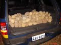 PRF - Pol�cia Rodovi�ria Federal - BRASIL
