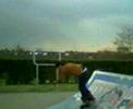 Rondje Arnhem Rondje Arnhem