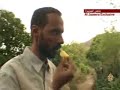أكبر فصائل التمرد في دارفور (4)