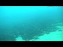 Searching for the wreck of Am-Mer-Mar Searching for the wreck of Am-Mer-Mar