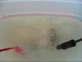 Cell1 Test 8