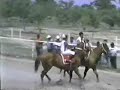 el salinitas de paco zetina vs el gorrion