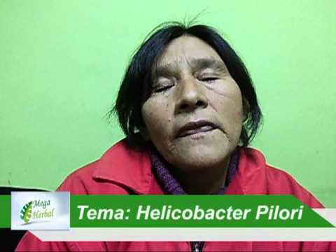 how to treat h pylori in dogs
