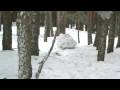videos de videos 031
