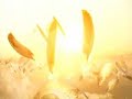 Bj�rk - Oceania (animation only)