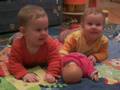 videos de Zwillinge
