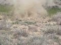 All prairie dogs go to heaven I