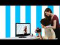 Ervaar de LG Flatron M94D TV Monitor Combi