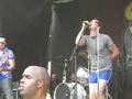 videos de reel big fish wapred tour 2008