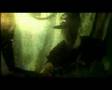 Davej Bacha besip Musicvideo